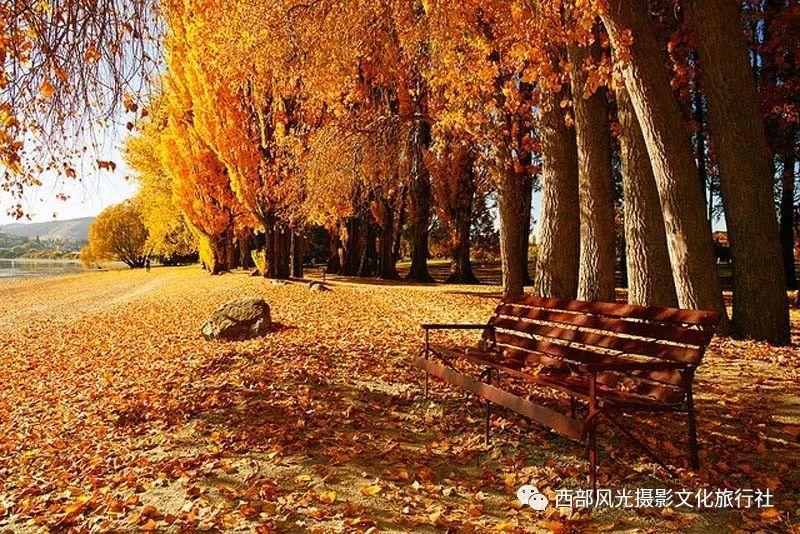 小小忍者疾风传